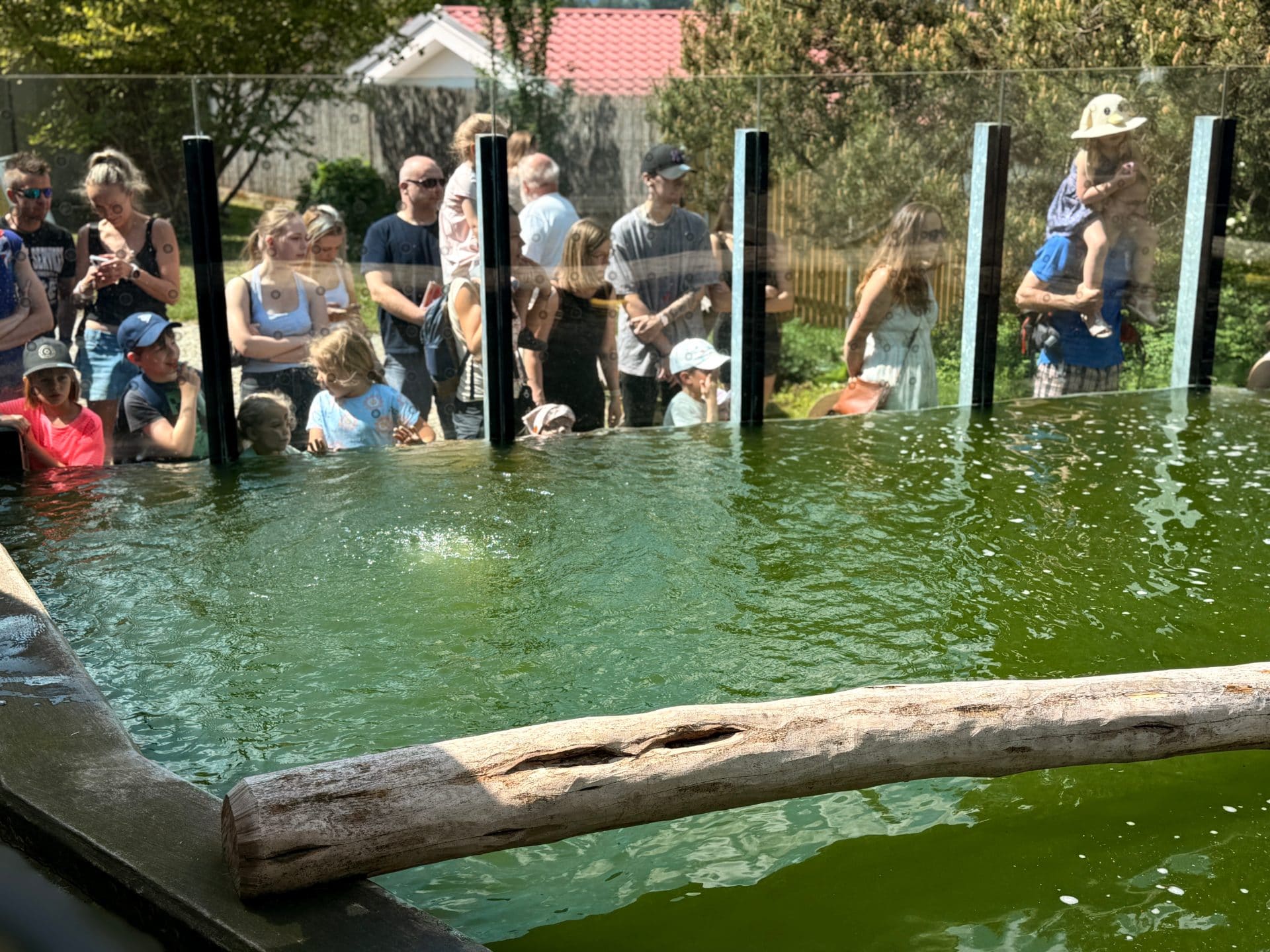 Navstevnici sleduji expozici v navstevnickem centru ParaZOO ve Vlasimi