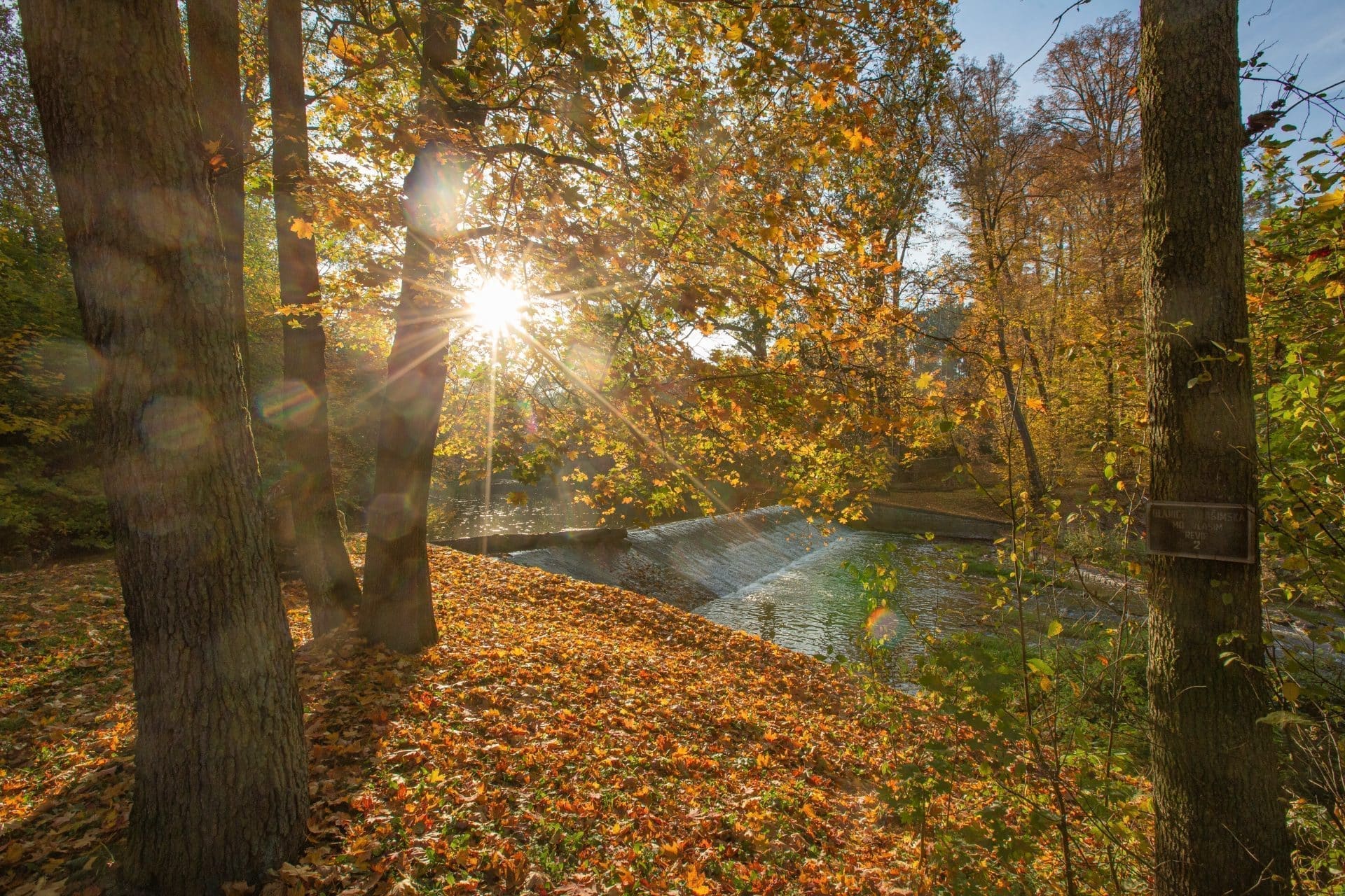 Sluncem prosvícený podzimní park s jezem na Blanici