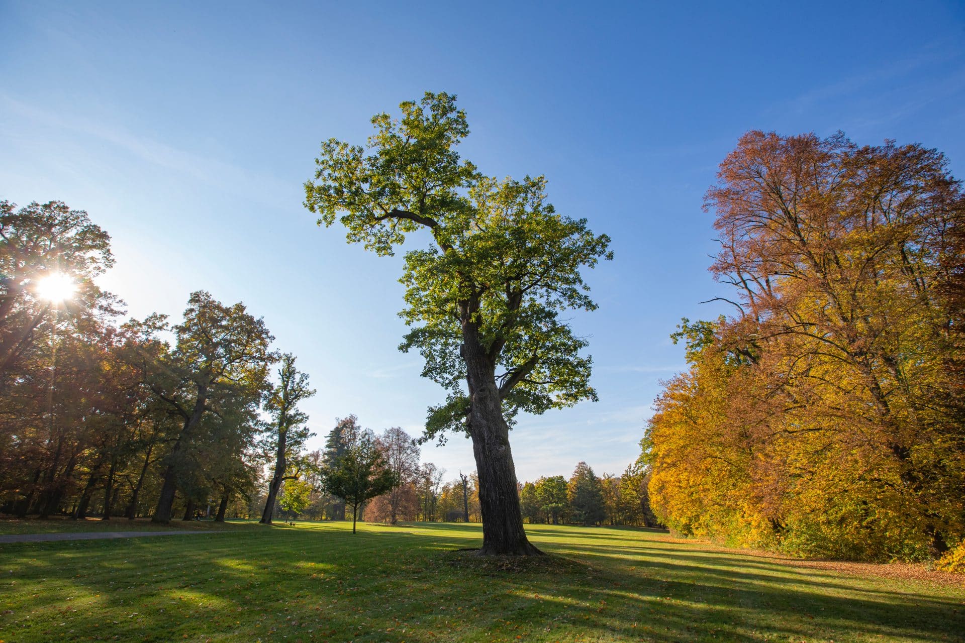 Sluncem zalitý vlašimský zámecký park v podzimních barvách