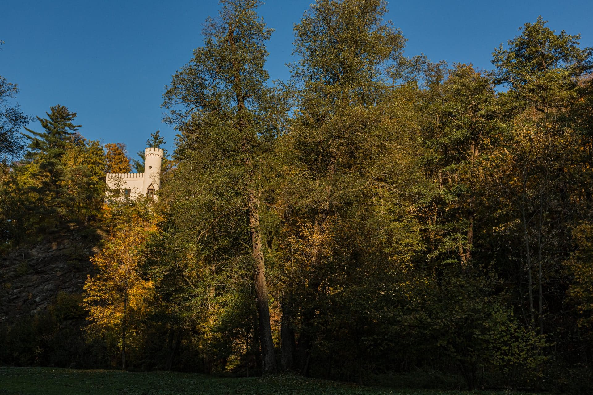 Starý hrad vykukující nad podzimními stromy zámeckého parku ve Vlašimi