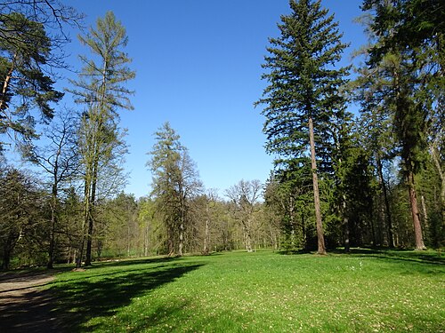 Vlašimský zámecký park, louky a stromy kolem Čínského pavilonu
